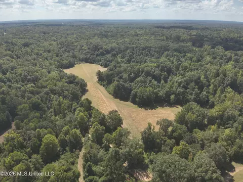 Ms-35, Carrollton, MS 38917 photo 2