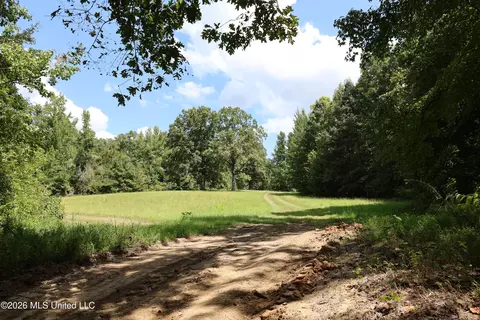 Ms-35, Carrollton, MS 38917 photo 45