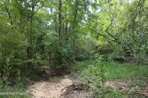 Ms-35, Carrollton, MS 38917 photo 39