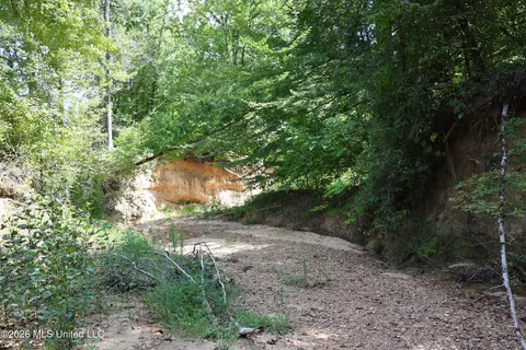 Ms-35, Carrollton, MS 38917 photo 18