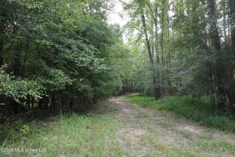 Ms-35, Carrollton, MS 38917 photo 23