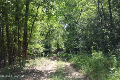 Ms-35, Carrollton, MS 38917 photo 40