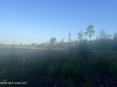 Vernal River, Lucedale, MS 39452 photo 3