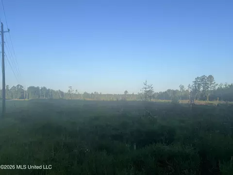 Vernal River, Lucedale, MS 39452 photo 4