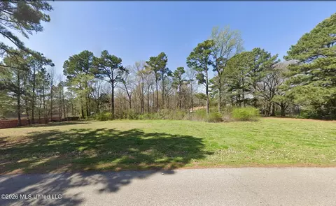 945 Green T Lk W, Hernando, MS 38632 photo 2