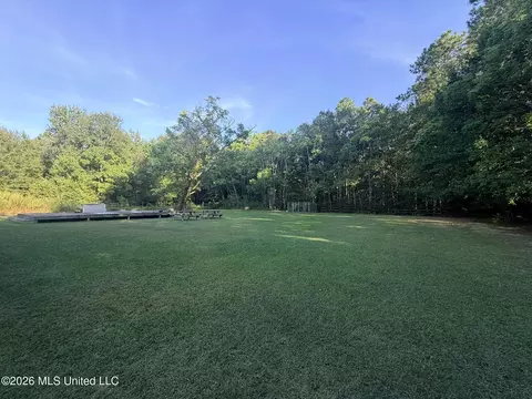 13721 Pine Ave, Vancleave, MS 39565 photo 17