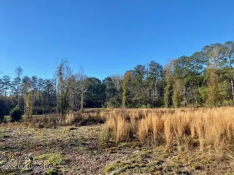 1169 Ole Springs Rd, Summit, MS 39666 photo 3