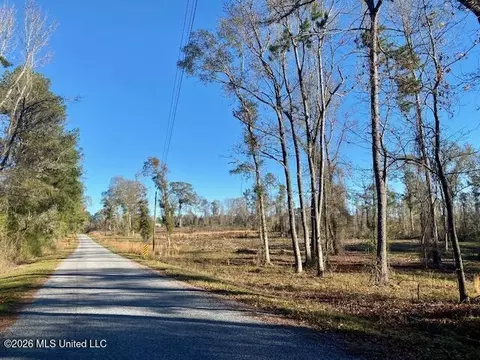 1169 Ole Springs Rd, Summit, MS 39666 photo 5