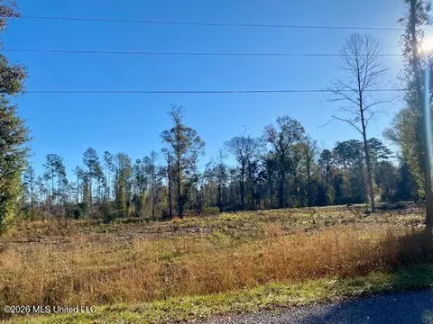 1169 Ole Springs Rd, Summit, MS 39666 photo 4