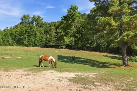 Other - 514 North St, Brandon, MS 39042 photo 19 of 45