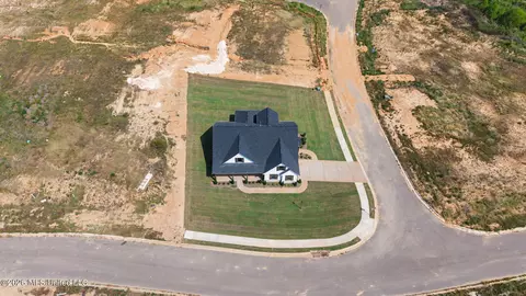View/Area - 3180 Wilders Way, Hernando, MS 38632 photo 3 of 5