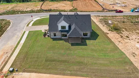 View/Area - 3180 Wilders Way, Hernando, MS 38632 photo 2 of 5