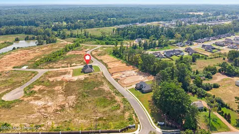 View/Area - 3180 Wilders Way, Hernando, MS 38632 photo 5 of 5