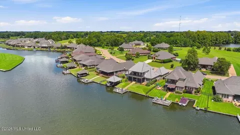 View/Area - 149 Harbor View Dr, Madison, MS 39110 photo 6 of 13