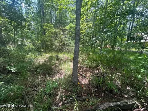 00 Pine Tree Rd, Pachuta, MS 39347 photo 3