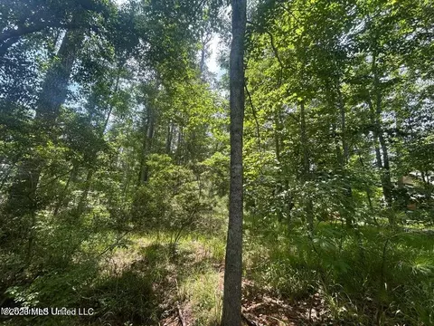 00 Pine Tree Rd, Pachuta, MS 39347 photo 4