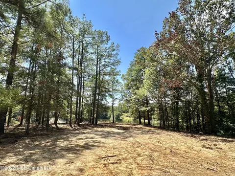00 Race Track Rd, West, MS 39192 photo 2