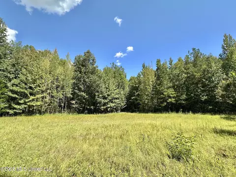 00 Race Track Rd, West, MS 39192 photo 21