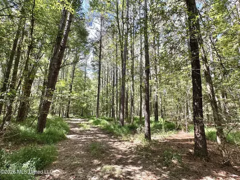 00 Race Track Rd, West, MS 39192 photo 15