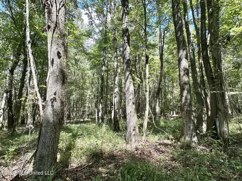 00 Race Track Rd, West, MS 39192 photo 14
