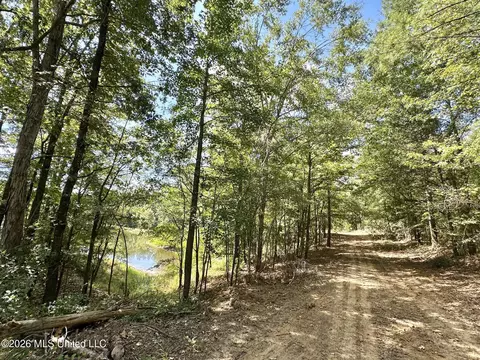 00 Race Track Rd, West, MS 39192 photo 6