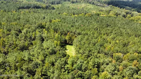 00 Race Track Rd, West, MS 39192 photo 29