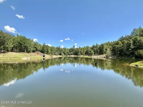 00 Race Track Rd, West, MS 39192 photo 8
