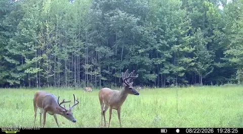 00 Race Track Rd, West, MS 39192 photo 42