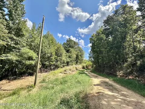 00 Race Track Rd, West, MS 39192 photo 37