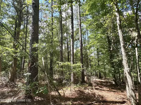 00 Race Track Rd, West, MS 39192 photo 11