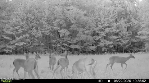 00 Race Track Rd, West, MS 39192 photo 41