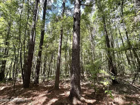 00 Race Track Rd, West, MS 39192 photo 12
