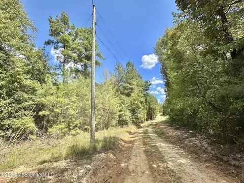 00 Race Track Rd, West, MS 39192 photo 35