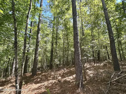 00 Race Track Rd, West, MS 39192 photo 10