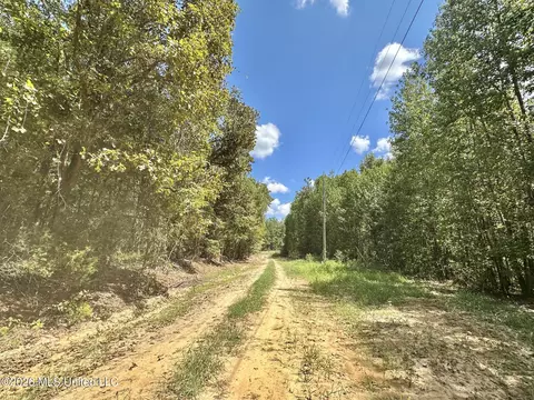 00 Race Track Rd, West, MS 39192 photo 36