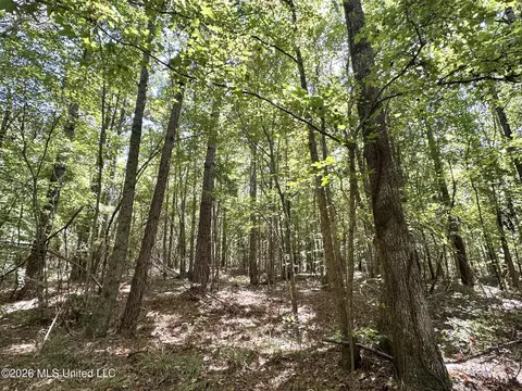 00 Race Track Rd, West, MS 39192 photo 13