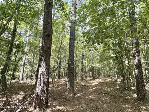 00 Race Track Rd, West, MS 39192 photo 22