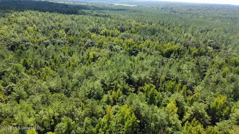 00 Race Track Rd, West, MS 39192 photo 27