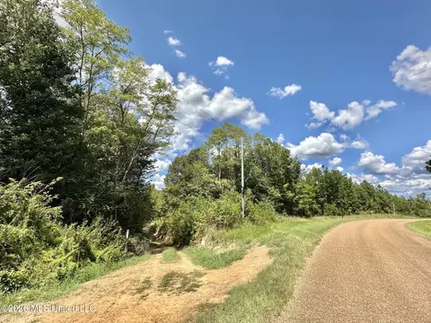 00 Race Track Rd, West, MS 39192 photo 38