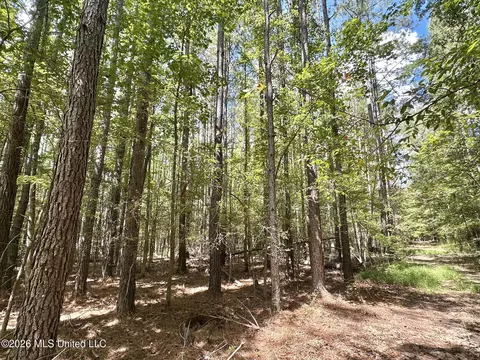 00 Race Track Rd, West, MS 39192 photo 19