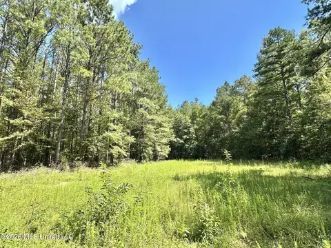 00 Race Track Rd, West, MS 39192 photo 17