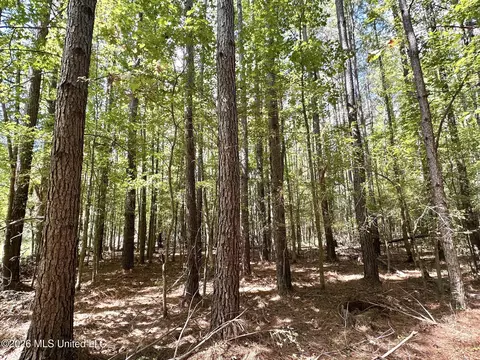 00 Race Track Rd, West, MS 39192 photo 18