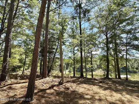 00 Race Track Rd, West, MS 39192 photo 3