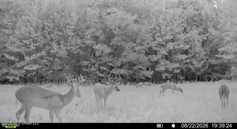 00 Race Track Rd, West, MS 39192 photo 40
