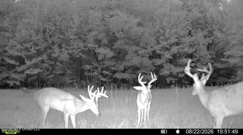 00 Race Track Rd, West, MS 39192 photo 39
