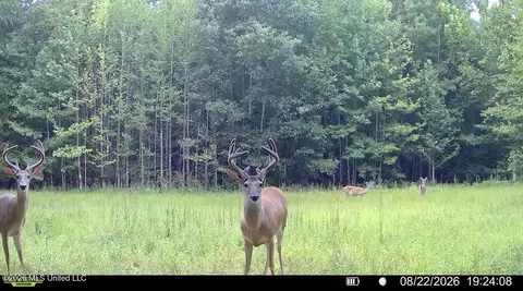 00 Race Track Rd, West, MS 39192 photo 43