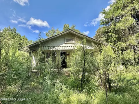 1 Dry Creek Rd, Magee, MS 39111 photo 3