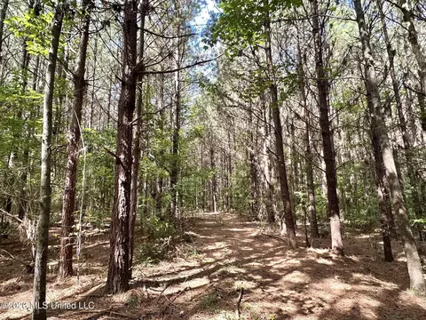2 Dry Creek Rd, Magee, MS 39111 photo 4