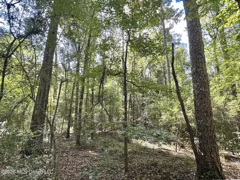 2 Dry Creek Rd, Magee, MS 39111 photo 12