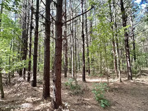 2 Dry Creek Rd, Magee, MS 39111 photo 3